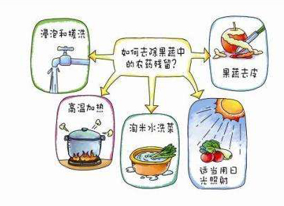 如何減少農(nóng)藥污染去除農(nóng)藥殘留？振華化工總結(jié)以下幾點(diǎn)分享給大家